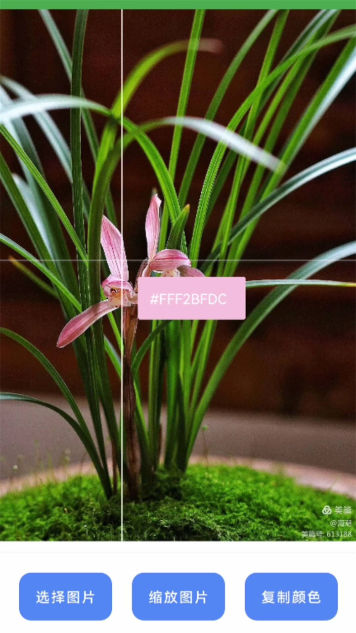 兰微工具盒子软件安卓版截图3