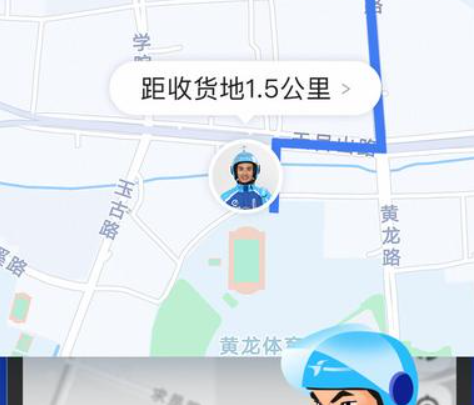 蜂鸟骑士专送版