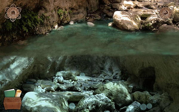 潘莫菲亚觉醒中文版截图3