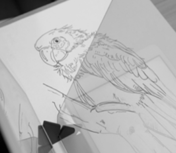 漫之绘光学绘画安卓版