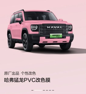 哈弗智家远程控制