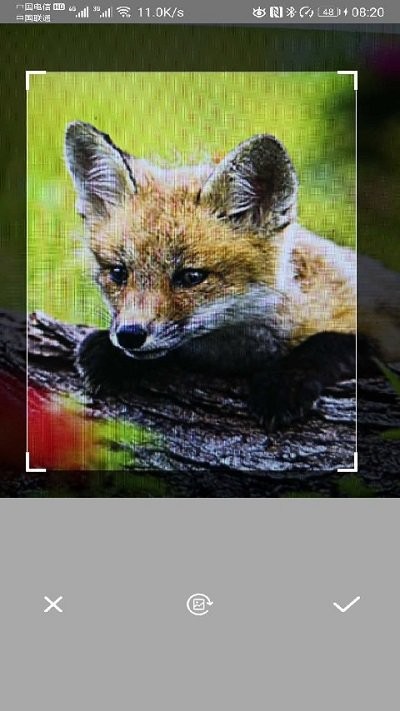 万能拍照识别花草