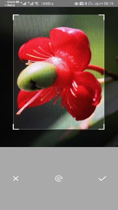 万能拍照识别花草