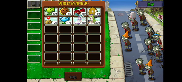 植物娘大战僵尸庄不纯