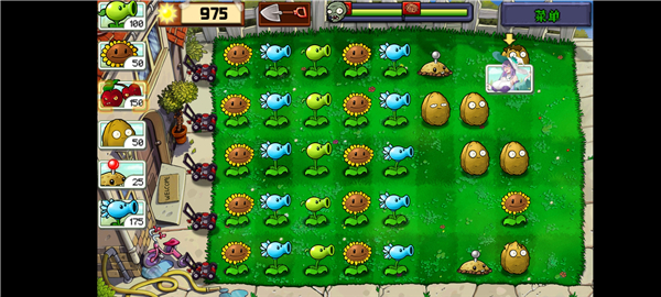 植物娘大战僵尸庄不纯