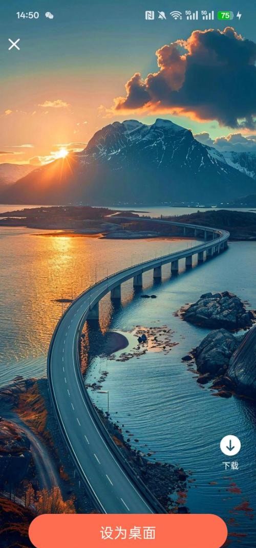 我的桌面壁纸安卓版