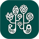 野兽派鲜花