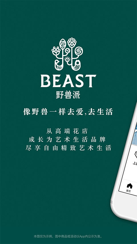 野兽派鲜花截图4