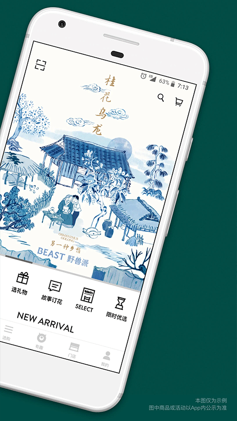 野兽派鲜花截图5