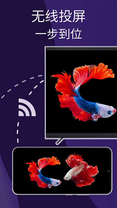 雨燕投屏电视版