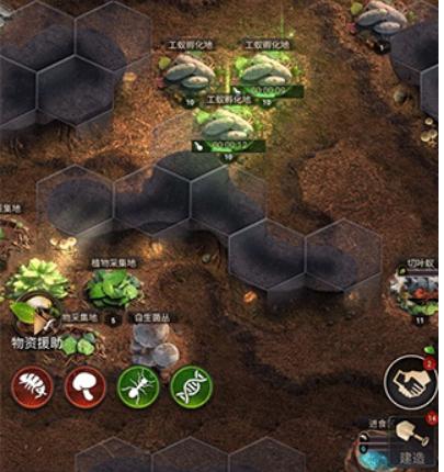 小小蚁国大大世界