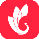 巅峰减重减肥训练营