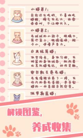 猫咪养成云