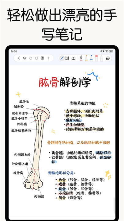 自由笔记app截图2