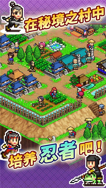 合战忍者村物语20251