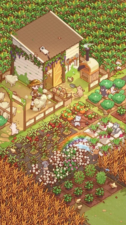 我的休闲时光截图1