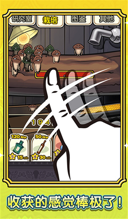 蘑菇花园四季版3