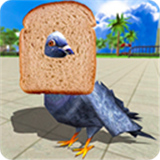鸽子模拟器下载
