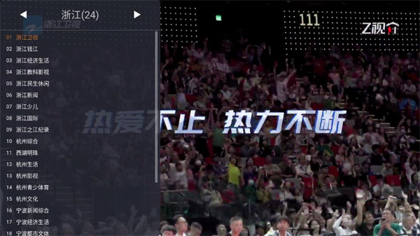 WebView电视tv版截图1