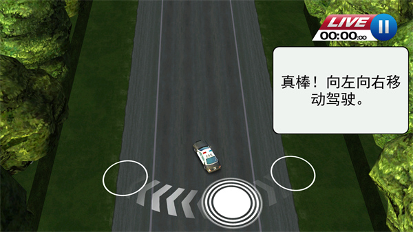 亡命威龙英文版