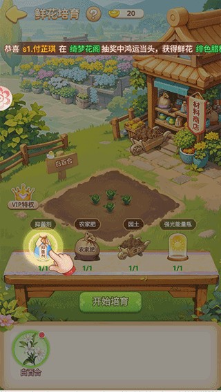 我的花园世界安卓版