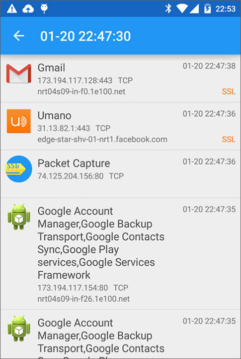 Packet Capture中文版截图2