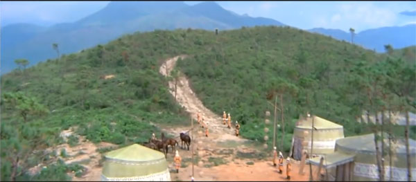 Packet Capture中文版