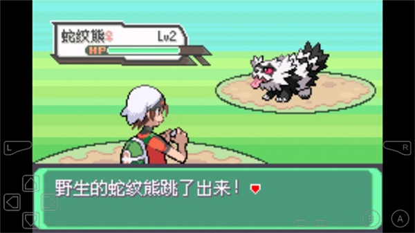 口袋妖怪究极绿宝石55