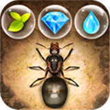 小小蚁国官方版