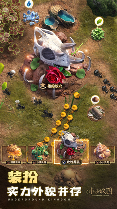 小小蚁国官方版5
