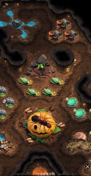 小小蚁国官方版