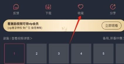 横风动漫纯净版