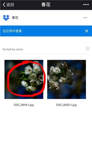 dropbox云盘