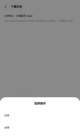 歌词适配播放器