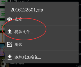 老外管理器ZArchiver